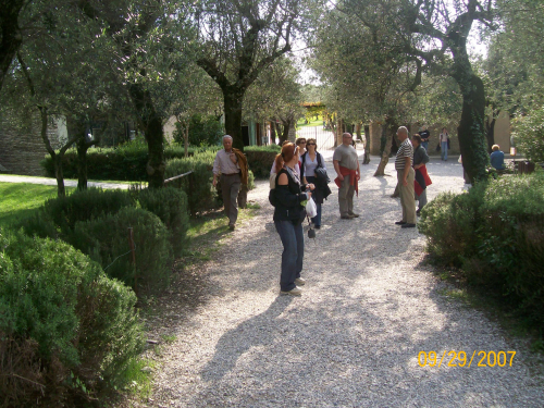 07_veron_1629