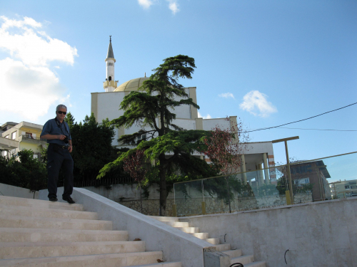 11_alban818