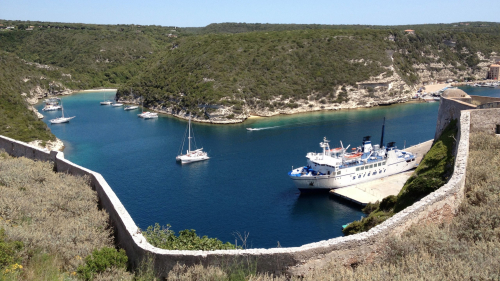 12_korzi0990