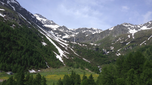 14_Svica835