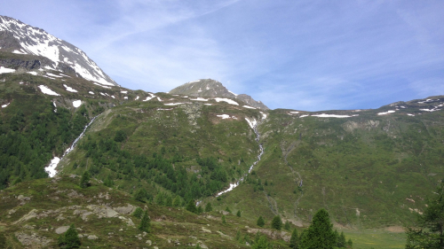 14_Svica836