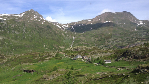 14_Svica841