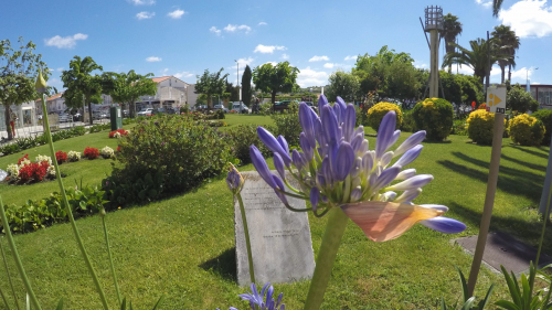 DCIM101GOPROGOPR7281.