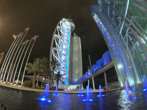 DCIM101GOPROGOPR7635.