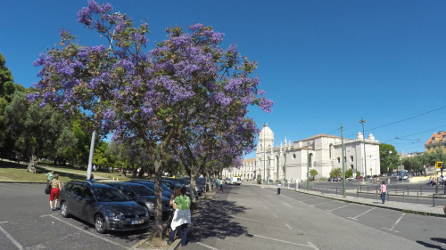 DCIM101GOPROGOPR7699.