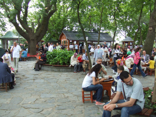 2008_06090534