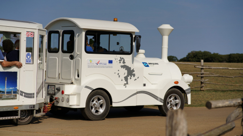 23_briju3529